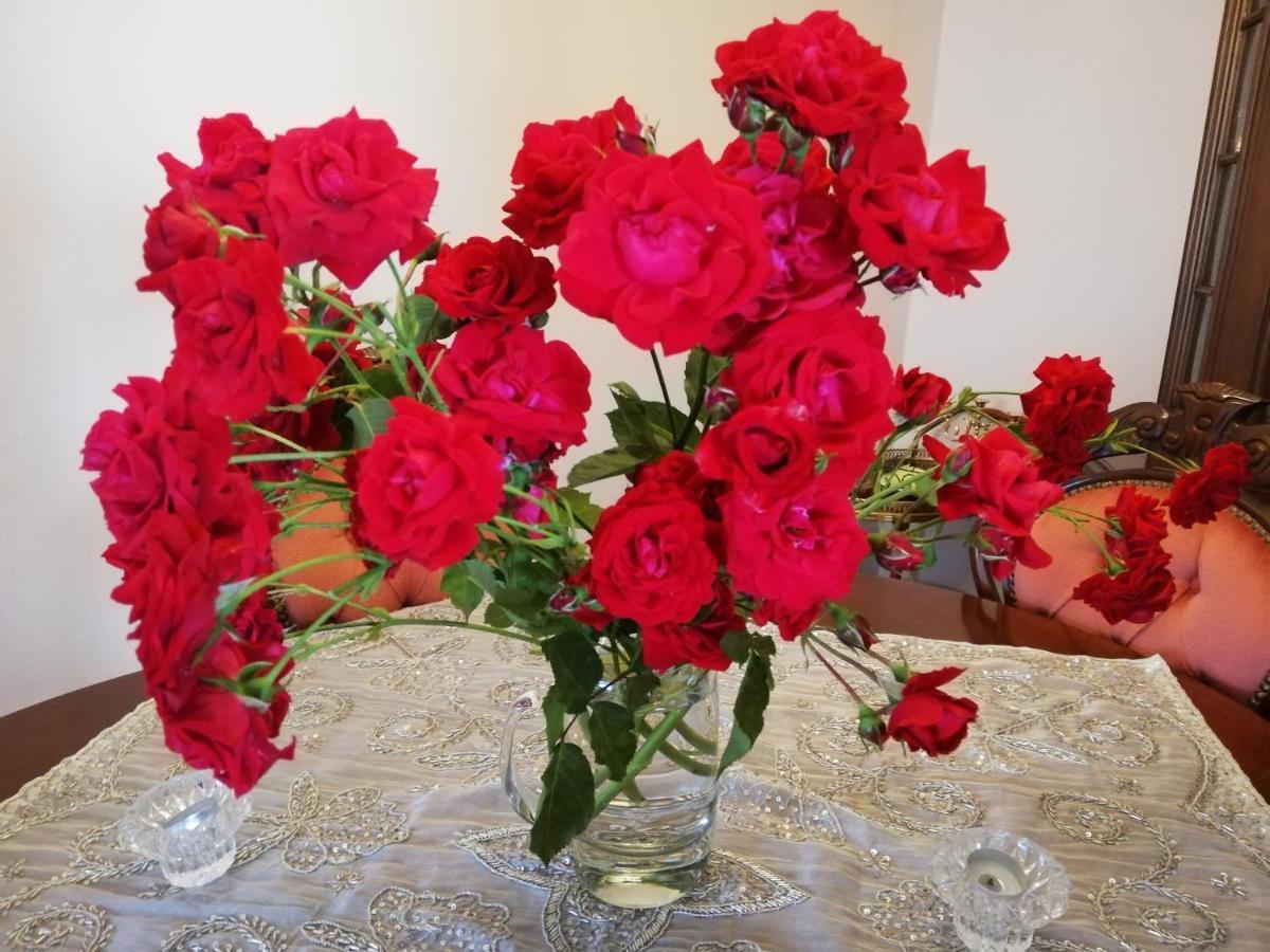 Rosen Und Rosse Apartment Zweibruecken Exterior photo